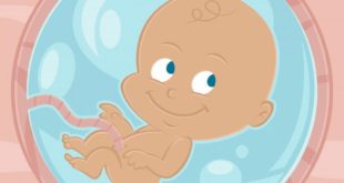 В ближайшем будущем родители в Приморске смогут выбирать пол ребенка еще на стадии зачатия