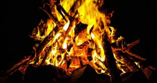 Древние люди разработали гениальный способ добывания огня раньше неандертальцев