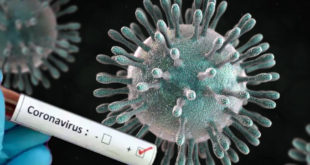 Science Alert: большинство смертей в пандемию COVID-19 было вызвано другой инфекцией