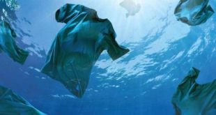 PLoS ONE: биоразлагаемый пластик в одежде разлагается не так быстро, как ожидалось