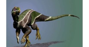 PLoS ONE: недавно обнаруженный динозавр Иани был лицом меняющейся планеты