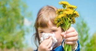 Ученые подтвердили, что контакт с микробами в детстве не защищает от аллергии