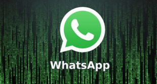 Аккаунты WhatsApp подверглись массовому взлому