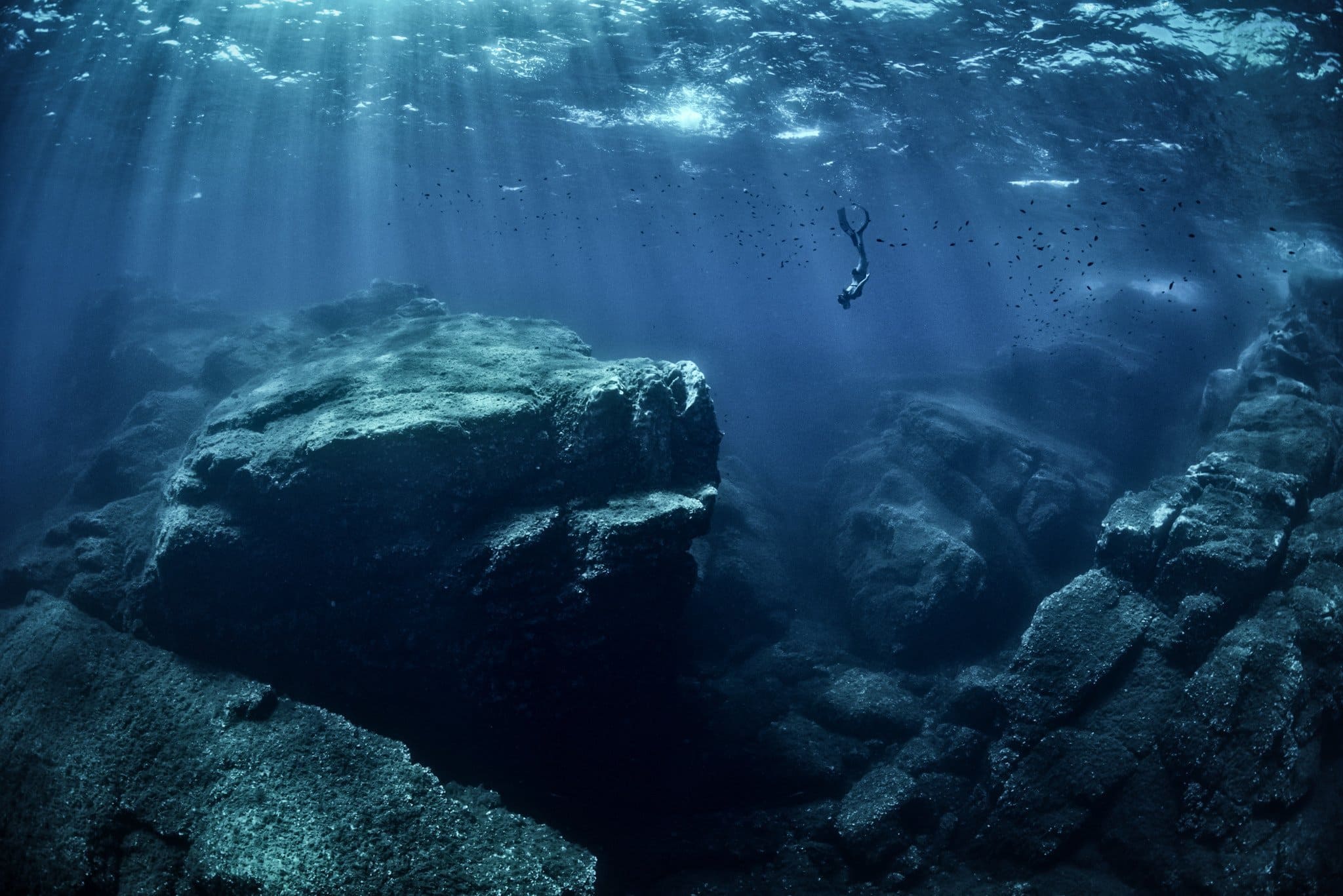 Для жизни на больших глубинах. Риф Сильфра Исландия. Дно океана. Под водой. Океаны. Глубина.