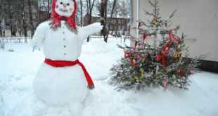 Снежная баба может стать символом Нового года в Новосибирске