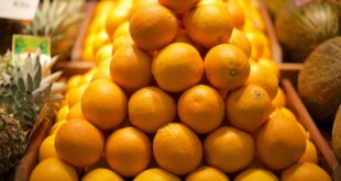Mash: мандарины в РФ подешевели перед Новым годом благодаря рекордным поставкам