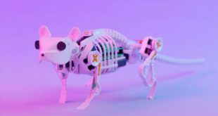 Ученые из Китая и Германии создали робота-мышь с уникальными возможностями