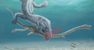 Китайские ученые провели анализ и раскрыли тайну «дракона» возрастом 250 млн лет