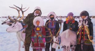 Ученые НИИ провели анализ: коренные жители Арктики лучше противостоят инфекциям