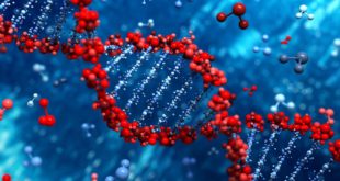Древняя ДНК идентифицирует детей с синдромом Дауна в обществах прошлого