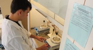 Студент КамчатГТУ разработал технологию производства лапши из минтая