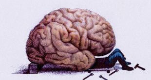Gen Psych: ученые открыли связь между уровнем витамина B1 и здоровьем мозга
