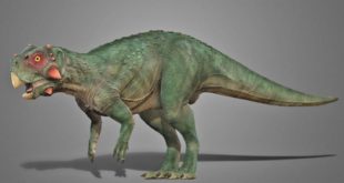Ученые РАН уточнили, как выглядел рогатый динозавр из Сибири