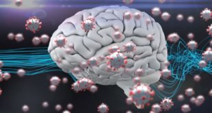 Ученые провели исследование: COVID-19 отнимает до 20 лет жизни у мозга
