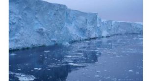Значительное отступление ледников в Западной Антарктиде началось в 1940-х годах