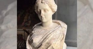 Водитель экскаватора в Великобритании нашел древнюю статую во время работы