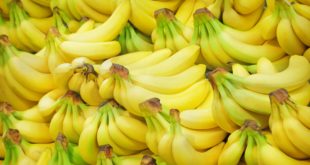 Аналитик Федяков: бананы подорожают минимум на 20% и исчезнут из магазинов