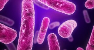 Mash: ученые провели анализ и готовятся к эпидемии нового штамма туберкулеза
