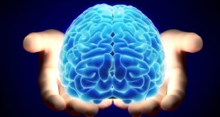 Нейробиолог Дин Бернетт: мозг продолжает развиваться после 25 лет