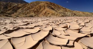 PNAS Nexus: под пустыней Атакама учёные обнаружили скрытую экосистему бактерий