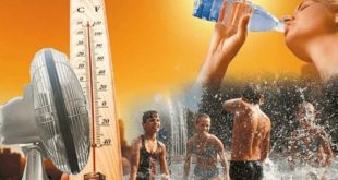 GRL: климатологи предсказывают, что грядущее лето побьет температурные рекорды
