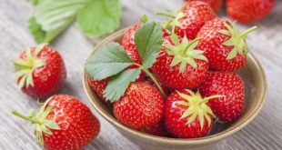 Диетолог Ричардс: богатые клетчаткой ягоды помогут нормализовать вес
