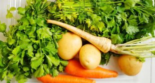 Биолог Мальцева: морковь, укроп и кинза снижают риск развития онкологии