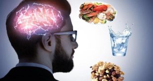 Nature: ученые доказали наличие связи между питанием и умственными способностями