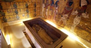 Ученый Феллоуз: вскрывавшие гробницу Тутанхамона, погибли от воздействия радиации