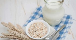 Чем полезно овсяное молоко: названы польза и вред этого продукта