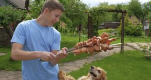 Ветеринар Никифоров посоветовал не кормить домашних животных шашлыком