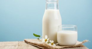 Нутрициолог Хлопова развенчала миф о вреде молока для взрослых