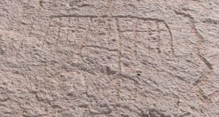 Петроглифы, найденные в Перу, изображают видения под действием психоделиков
