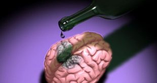 Невролог Рестак порекомендовал людям старше 65-ти лет отказаться от алкоголя
