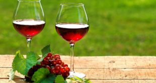 Учёные БелГУ создали безалкогольное вино, защищающее почки при рентгенографии