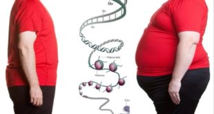 Генетики провели исследование и нашли мутации в генах, связанные с ожирением