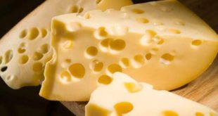 Ученые изобрели метод консервирования сыра, не требующий применения антибиотиков