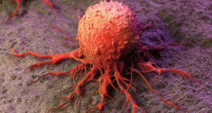 Ученые Нидерландов открыли метод уничтожения клеток рака с помощью гена SLFN11