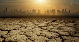 Человечество подходит к концу: ученые изучили температуру Севера за 2000 лет