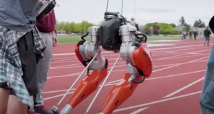 SciRobo: животные передвигаются быстрее роботов за счет совершенства тела