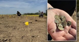 Жительница Чехии нашла клад средневековых монет во время прогулки