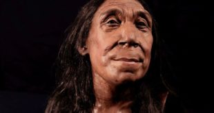 UC: ученые UC реконструировали лицо женщины, жившей 75 тысяч лет назад
