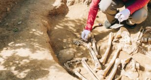 В Дагестане найдены останки человека, жившего несколько тысяч лет назад