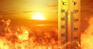 PLOS Med: волны жары ежегодно уносят более 150 000 жизней по всему миру
