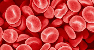 Новая разработка ученых поможет решить проблему остановки сильных кровотечений