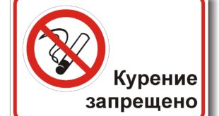 В России хотят увеличить штраф за курение в неположенных местах до 15 000 рублей