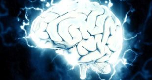 The Lancet Neurology: изменение климата ухудшит состояние мозга