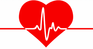 Ученые доказали, что состояние сердца важно для психического здоровья