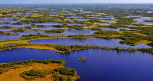 Мощный источник метана обнаружен в болотах Западной Сибири