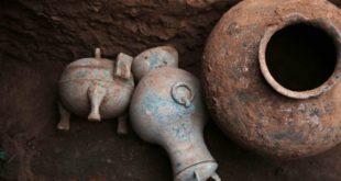 JASR: найдено древнейшее в мире вино
